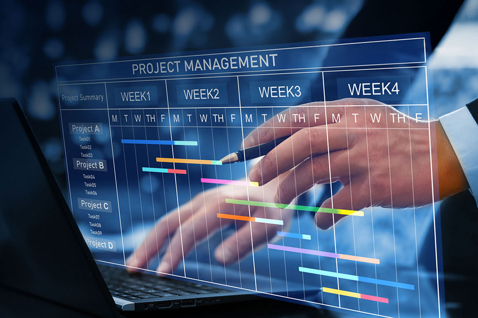 Persona revisando el avance de un proyecto en el computador